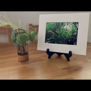 New Original Signed Photography